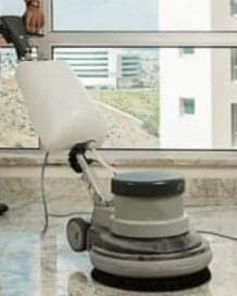 אוראל הנוצץ - אודות